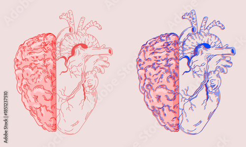 Red Heart & Brain Line Art & 3D Line Illustration Vector Set Representing Mind & Emotion Balance Concept or Emotional & Cognitive Anatomy Concept for Medicine or Psychology. All The Feels
