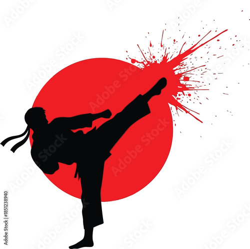 A dynamic silhouette of a martial artist executing a powerful high kick against a vibrant red sun and explosive splatter