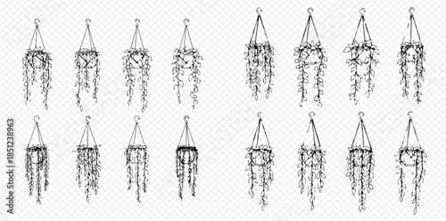 Set of hanging plants in macrame planters, hand drawn vector illustration.