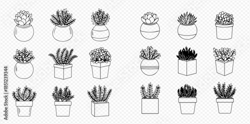 Set of hand-drawn succulent plants and cacti in pots, perfect for home decor illustrations.