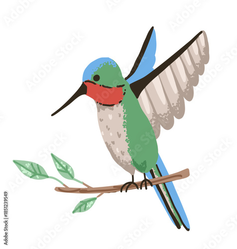 Little colorful hummingbird on branch