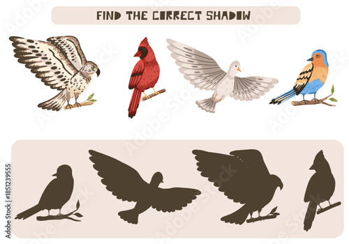 Find correct shadow game with wild forest birds