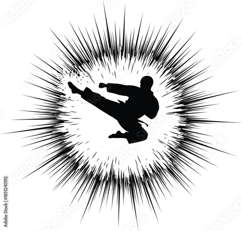 Energetic martial arts silhouette performing a high kick with an explosive radial burst
