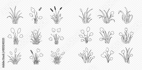 Set of hand-drawn doodle style aquatic plants and reeds for pond or water garden illustration.