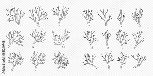 Set of hand drawn dry tree branches without leaves in various shapes, perfect for winter and autumn designs.