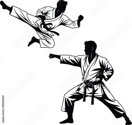 Dynamic karate fighter silhouettes showcasing powerful stance and acrobatic flying kick