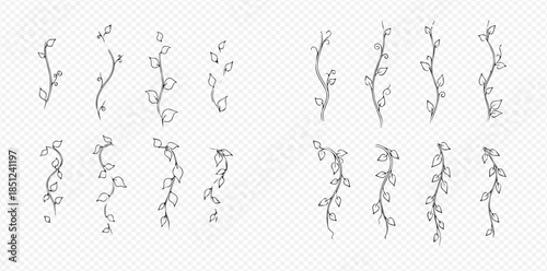 Set of Hand-Drawn Doodle Vines and Leaves for Nature-Inspired Designs.