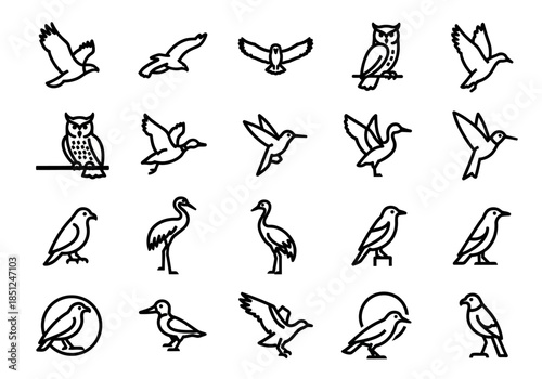 Various birds in flight and perched, illustrated in simple black line art