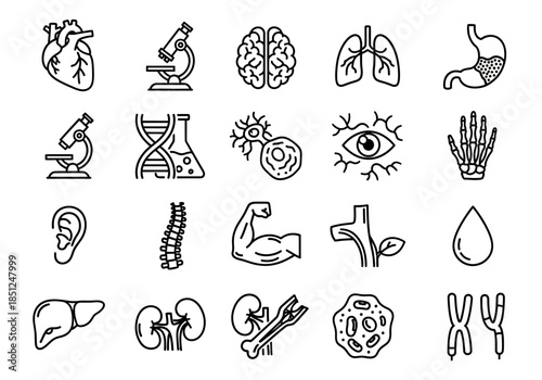 Collection of human body organs and medical icons in a minimalist line art style on a white background