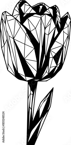 Elegant Tulip Flower in Geometric Style, Perfect for Modern Designs and Creative Projects, Brings a Touch of Sophistication and Natural Beauty