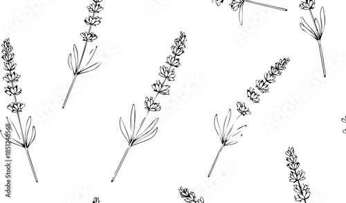 Delicate lavender pattern, hand-drawn style for fabric design, wallpaper, or stationery, floral elegance, spring beauty, seamless design, fresh botanical feel