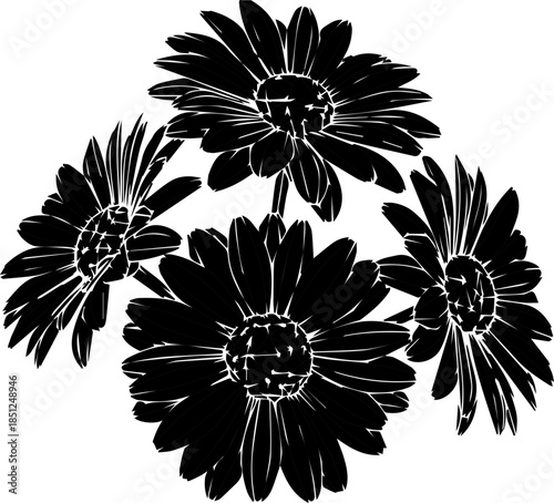 Fotografie Elegant floral design featuring delicate daisies, perfect for spring projects, w