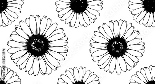 Elegant floral pattern of hand-drawn daisies, a timeless design that adds a touch of nature and sophistication to any creative project or surface