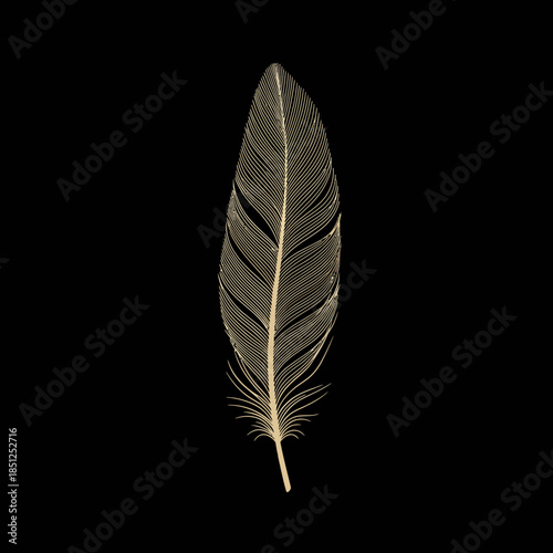 Elegant gold feather on black background, minimalistic design