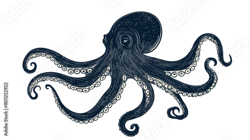 Detailed illustration of an octopus with intricate tentacles