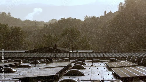 Heavy rain droplets sparkling in sunlight against a dark forest background and rooftop with ventilation pipes