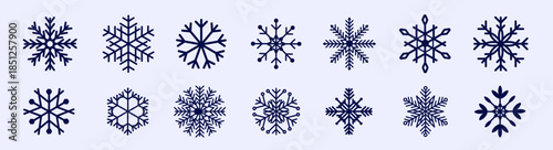 A collection of intricately designed snowflakes, perfect for winter-themed decor and creative projects.