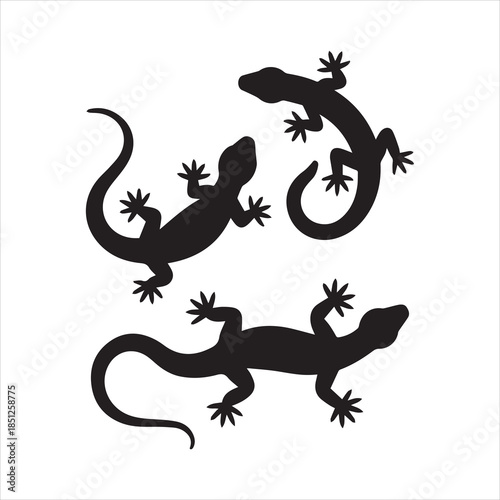 silhouette of a lizard