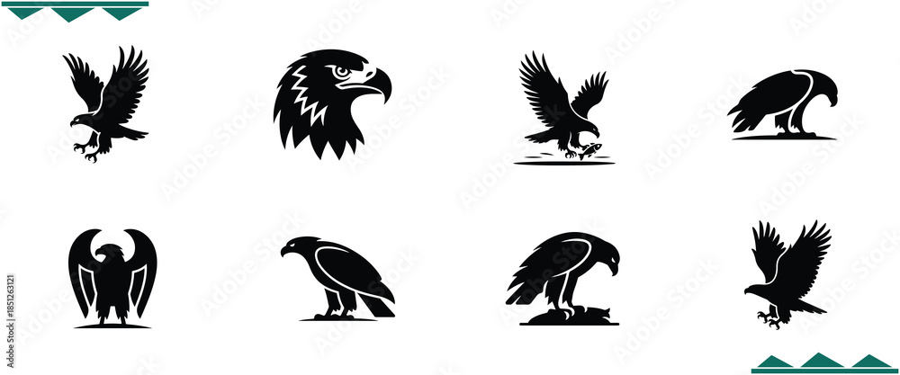 Obraz premium Bundle_5