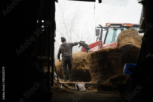 animal caretaker. a caregiver who takes care of animals.