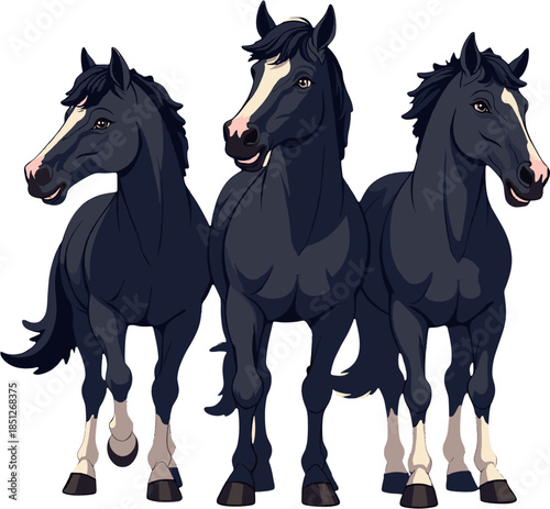 Black horses illustration isolated on white background, strong animal herd clipart