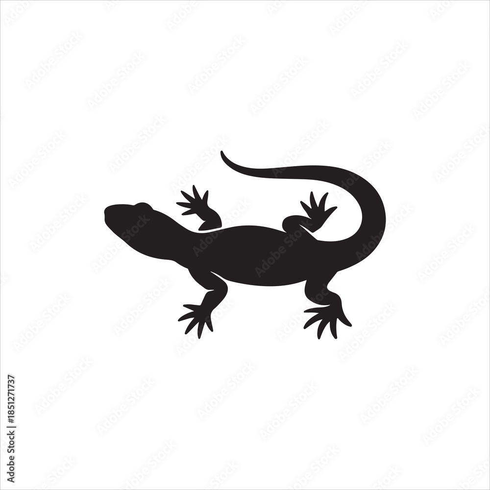 Obraz premium lizard on white background