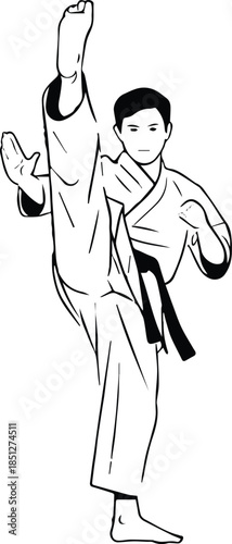 taekwondo high front kick martial artist dobok black belt pose training