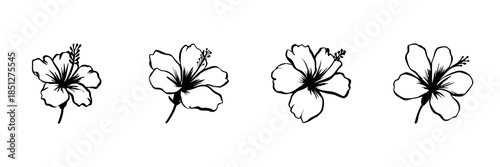 Hibiscus Flower Illustrations In Hand Drawn Style Set. Tropical Floral Art, Botanical Doodle Sketch Collection. Nature-Inspired Design Elements. Isolated Vector Illustration