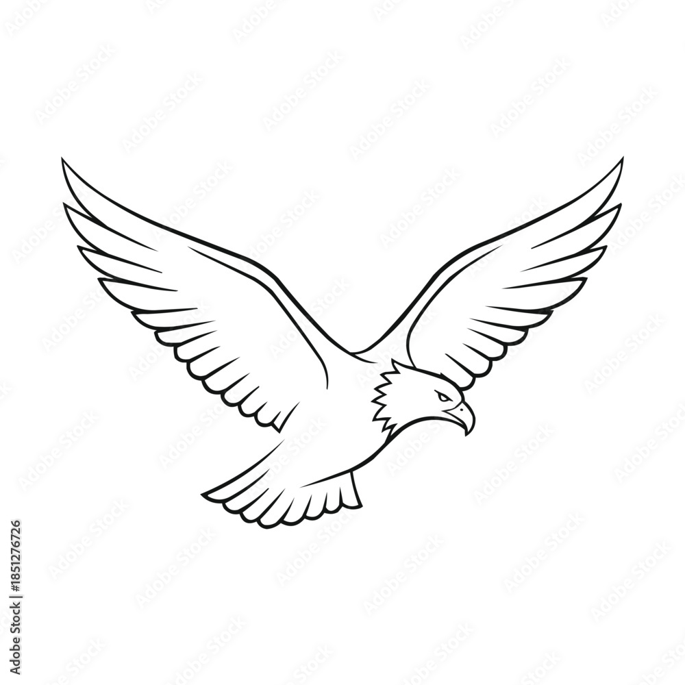 Fototapeta premium Simple black and white illustration of a majestic eagle in flight