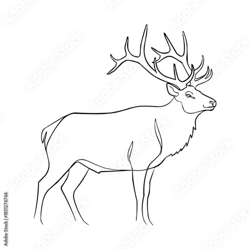 Black and white line art sketch of a large male elk standing in profile