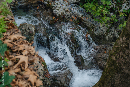 small waterfall in the forest