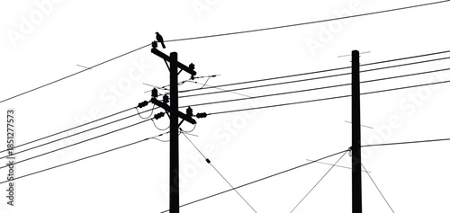 Silhouette of electric poles with wires, black utility post vector illustration, bird sitting on power line, isolated on white background, industrial infrastructure concept