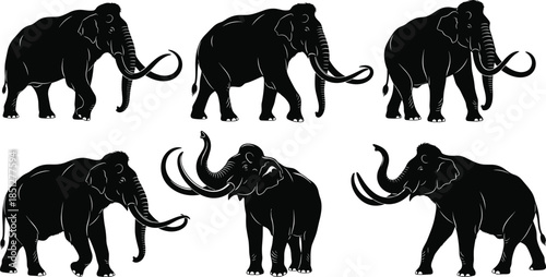Woolly mammoth silhouette set showing prehistoric elephants with curved tusks in different walking and standing poses isolated
