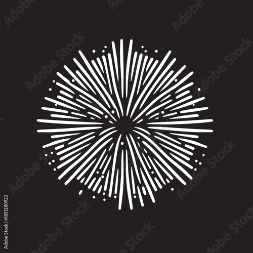 Firework icon on black background. Firework vector icon. Firework vector icon