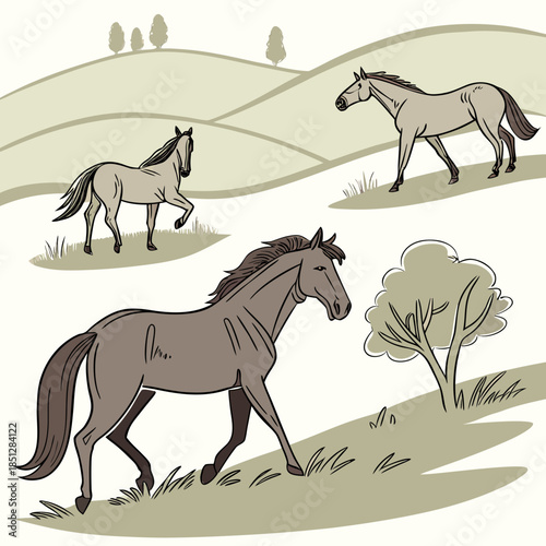 Three horses shown in various stances