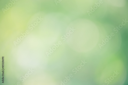 Natural green defocus light background. Blurred defocus greenery.