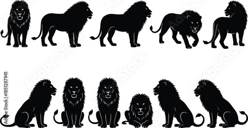 Lion silhouettes set in standing and sitting poses, majestic wild animal figures, powerful safari wildlife illustration collection isolated on white background