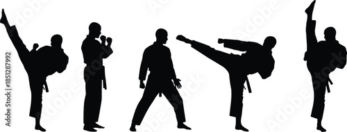 Martial arts silhouettes performing karate and taekwondo kicks, powerful combat sport poses, fighters training isolated on white background concept