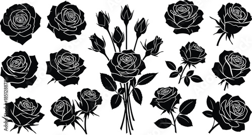 Black and white roses with detailed line floral
