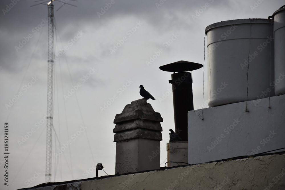 Fototapeta premium Vigilante de las alturas: Una paloma solitaria posada sobre una chimenea frente a un cielo nublado de ciudad.