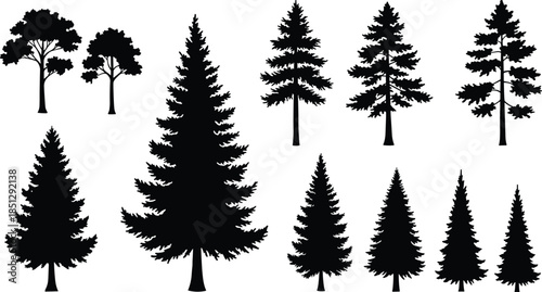 Tree silhouettes, coniferous trees, deciduous trees, forest shapes, pine outlines, nature icons, black trees, vector trees, tree collection, landscape elements