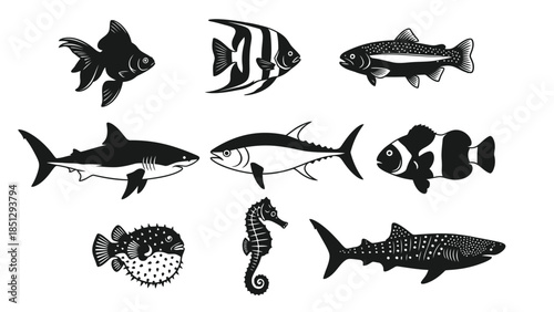 Black and white fish and sea creatures