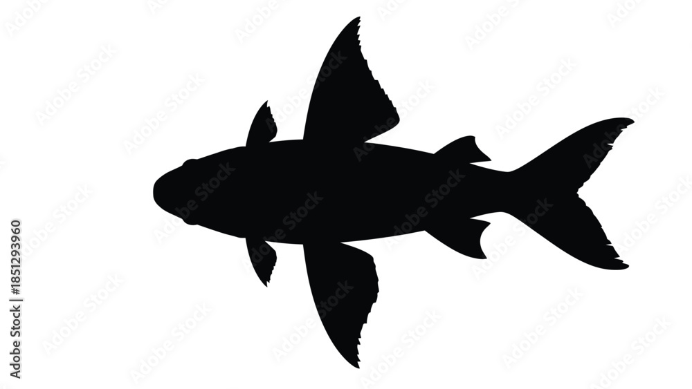 Fototapeta premium Black silhouette of a fish with large fins and whiskers