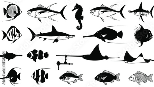 Black and white of various fish and sea creatures