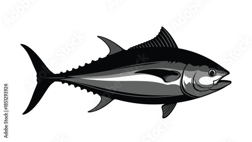Black and white tuna fish with detailed fins and scales