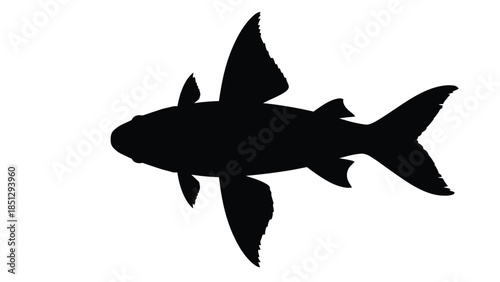 Black silhouette of a fish with large fins and whiskers