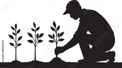 Person planting trees Vector