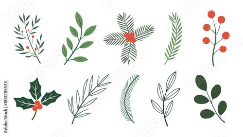 Vector illustration a set of various christmas leaves and branches with berries