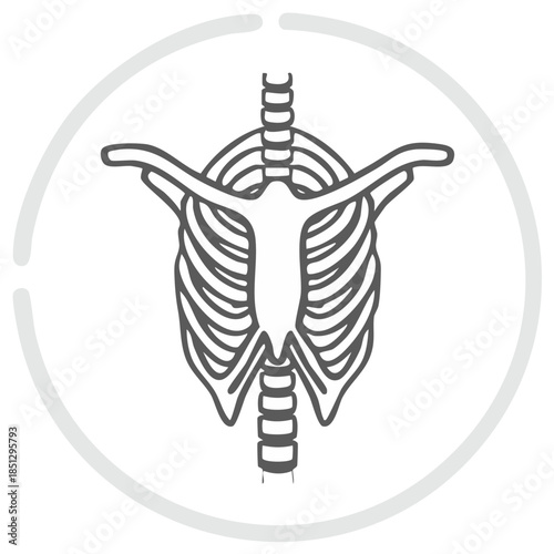 Human skeletal system illustration in outline style within a circle