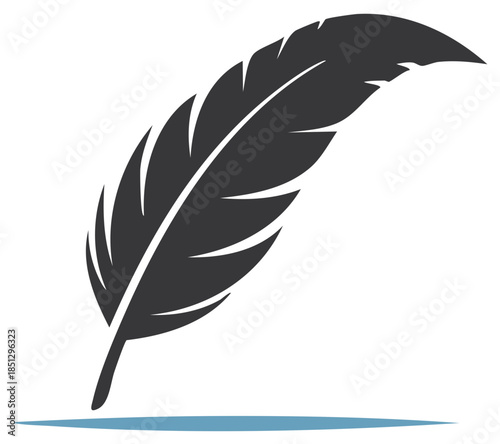 Elegant illustration of a dark gray feather with a slight shadow detail, concept of writing and creativity.